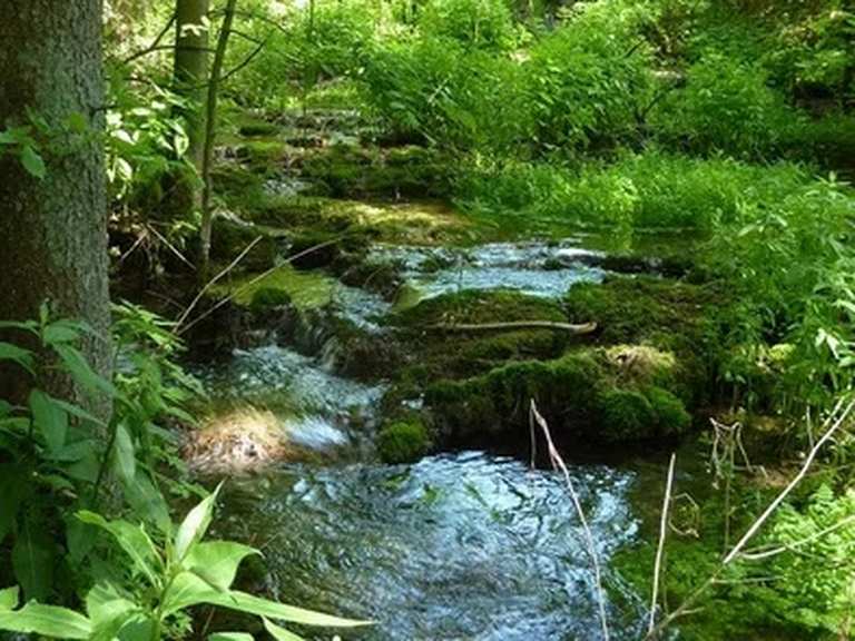 Greding Kaisinger Tal Wanderung Komoot