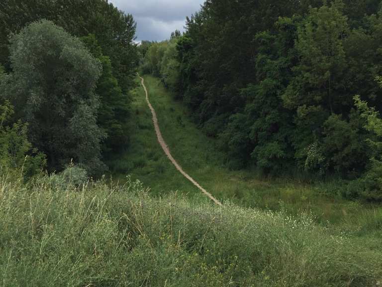 Wuhletal-Wanderweg Teil 2 - S+U Wuhletal - S Ahrensfelde | Wanderung