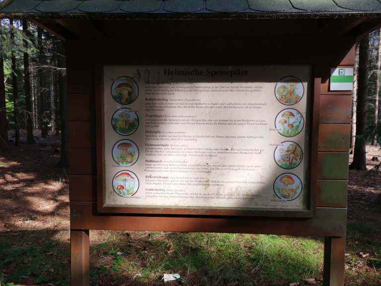 Kohlbach Kunstgraben Erzengler Teich Runde von Kohlenstraße