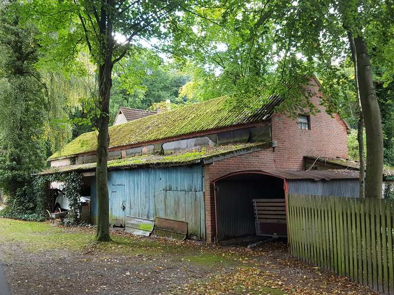 Von Sittensen zum Nordpfad Kuhbach-Oste | Wanderung | Komoot