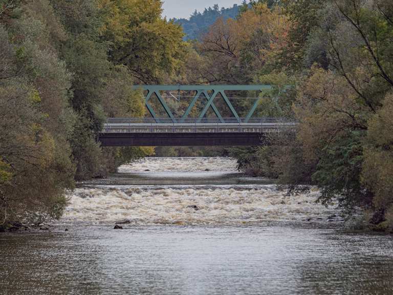 Wandern von Langenargen nach Lindau und mit dem Schiff zurück