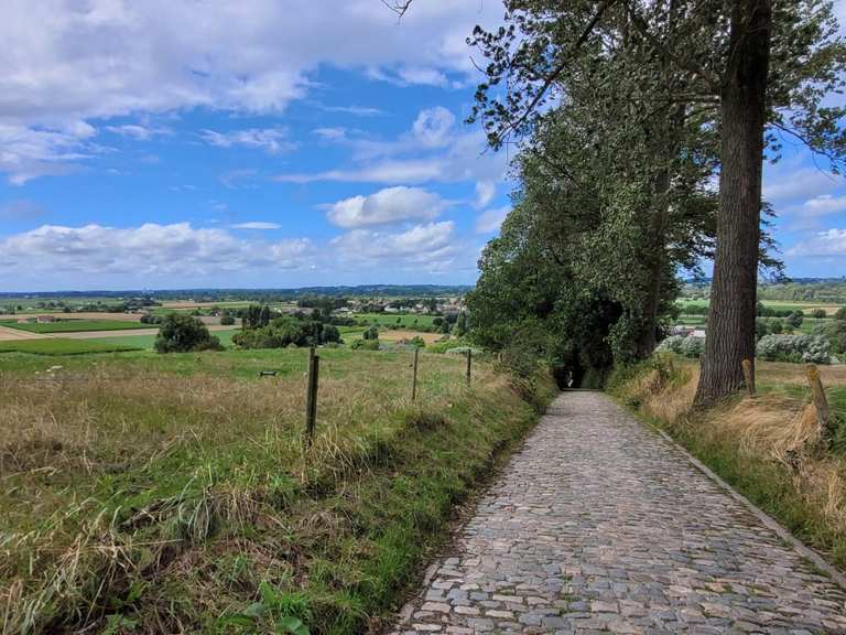 Kanarieberg – Koppenberg Loop - 114km | Rennrad-Tour | Komoot
