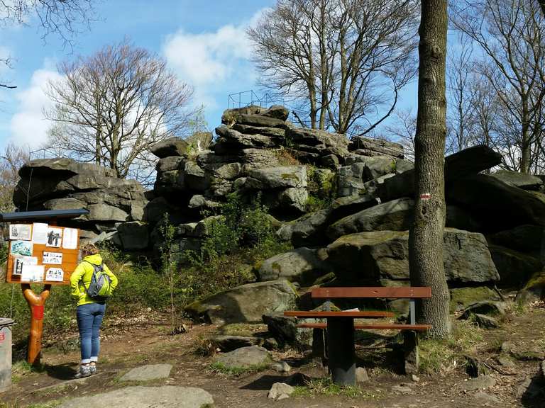 Wanderung Forsthaus Luchsenburg  Hochstein  Ohorner Steinberg