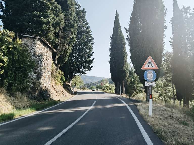 Pedalando tra gli uliveti la Strada dei Setteponti tra Firenze e Arezzo