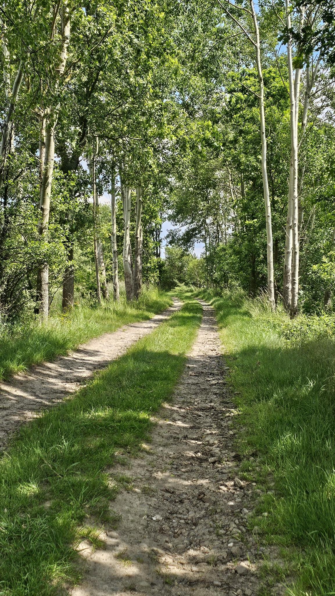 18ffcfce04d?width=640&height=360&crop=true&q=70 Tourismus Bad Lausick &ndash; Touren - Gro&szlig;er Glastener Ringweg (TK 10)