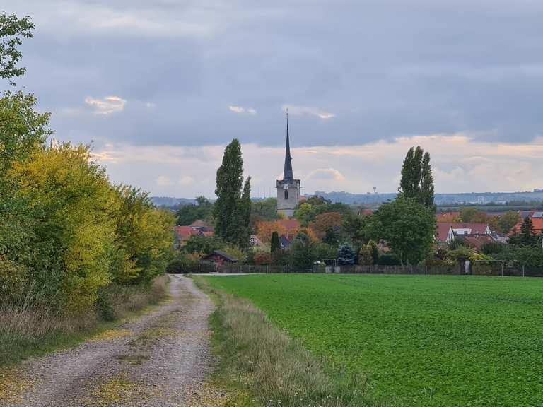 Ökumenischer Pilgerweg Via Regia - Von Erfurt-Töttleben zum Domplatz ...