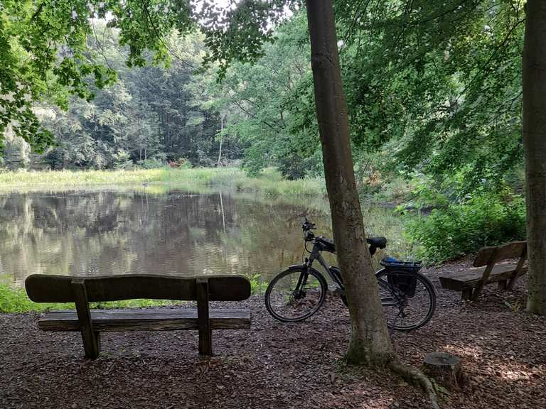 Sülfeld Detmerode Neuhaus Allersee KreuzheideNeptun