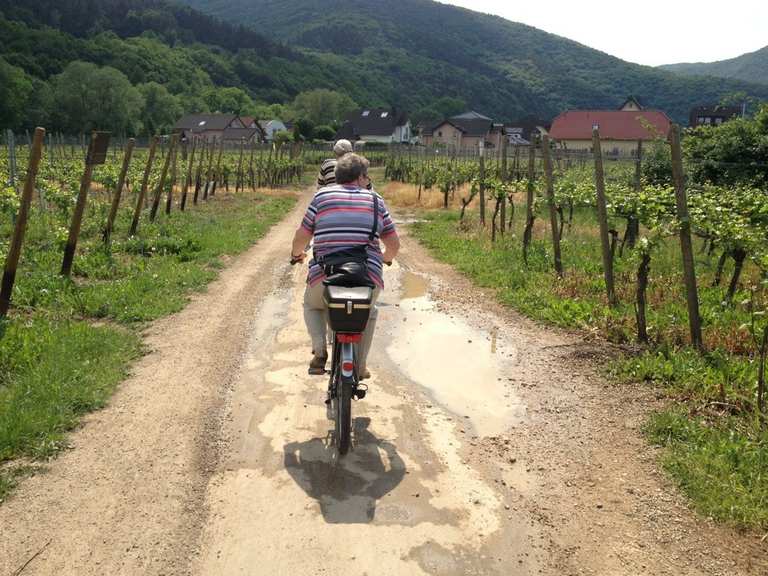 Radtour von Ahrweiler nach Altenahr und zurück am 24. Mai