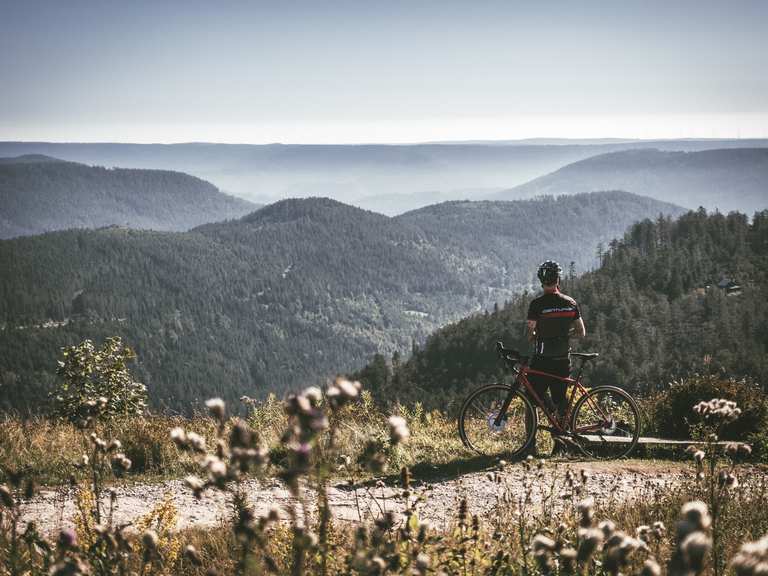 In fünf Etappen über den Schwarzwald Panorama-Radweg | Komoot