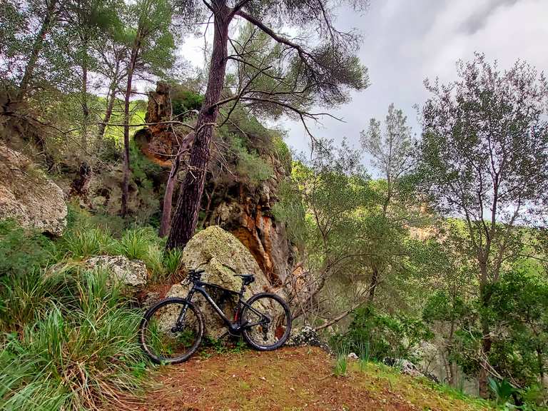 🏝 Mallorca T3: Lost places und Albtraum Ende 🤬 | Mountainbike-Tour | Komoot