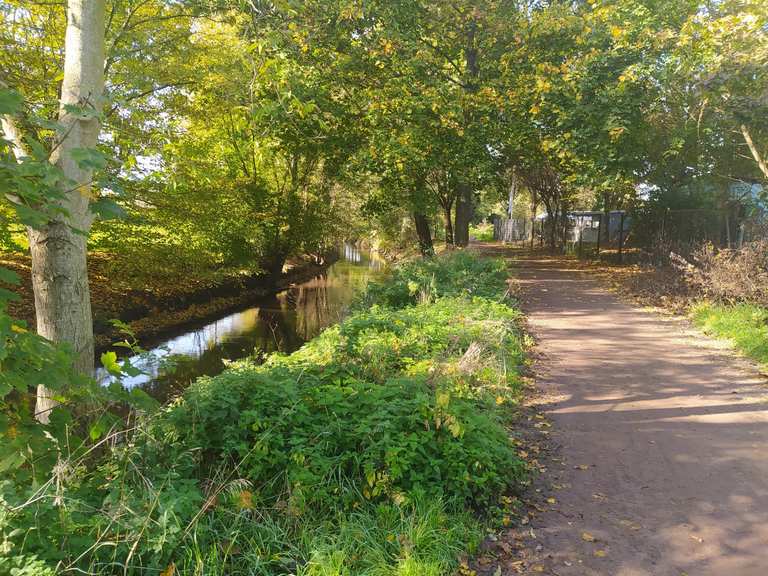 Offenbach an der Queich Landau Siepeldingen MountainbikeTour Komoot