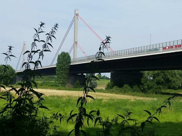 leverkusener brücke fahrrad