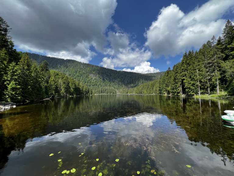Um den großen Arbersee auf den großen Arber zum kleinen Arber und um