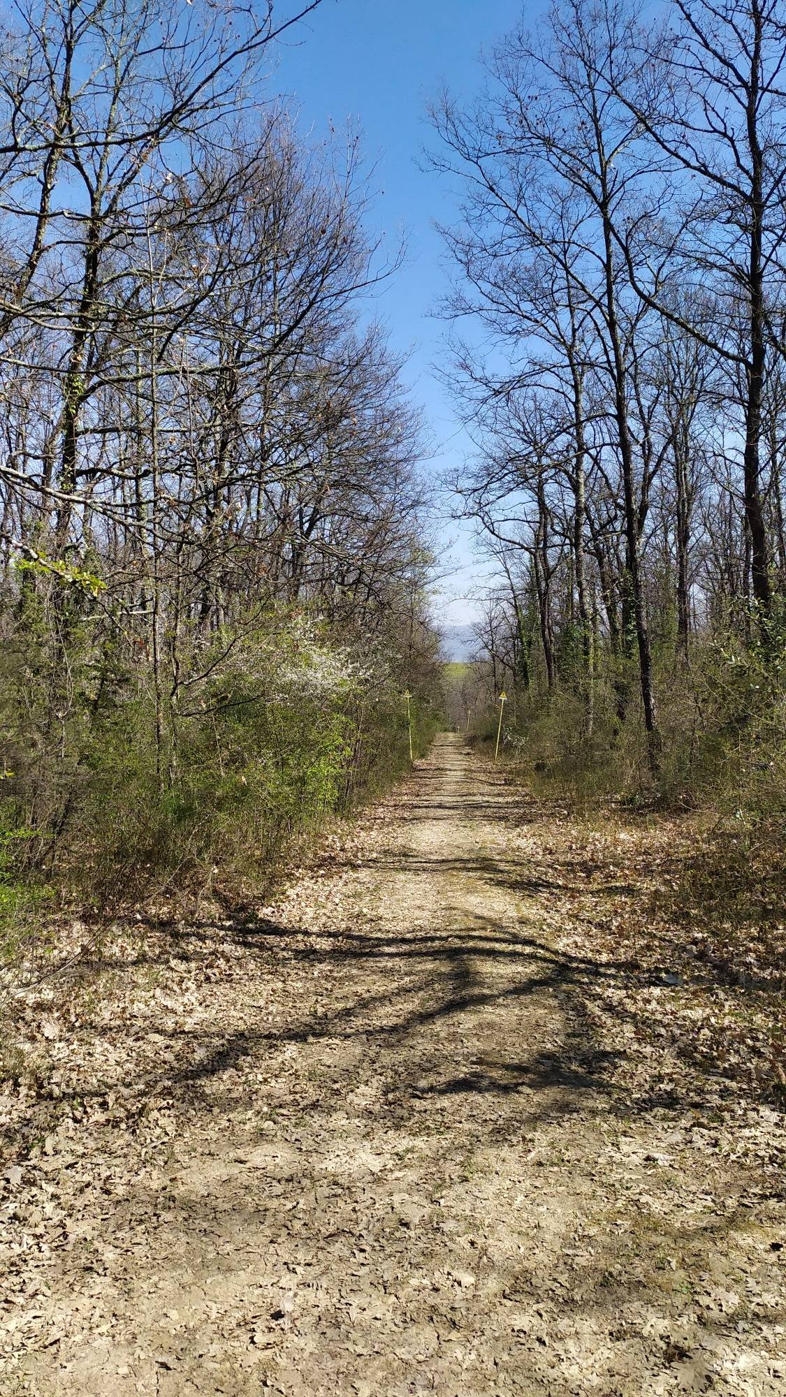 La strada del metano