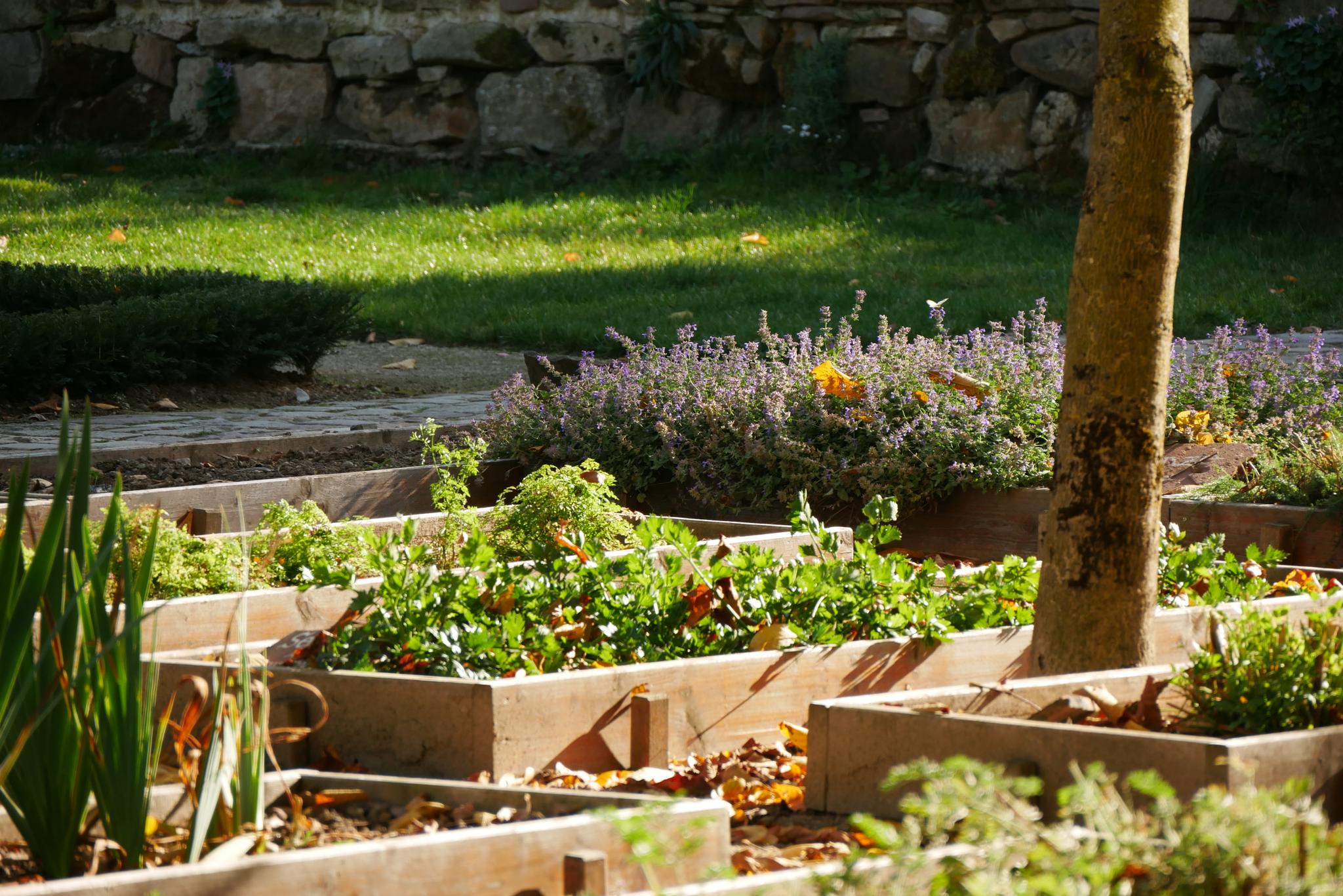 Kloster Garten Route Komoot