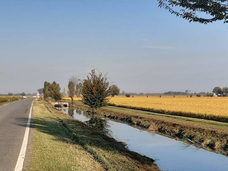 Giro Robbio Lomellina rosasco celpenchio castelnovetto giro in bici