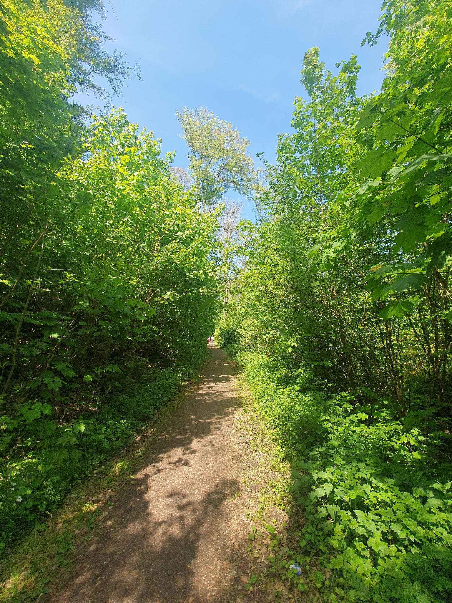 18f34edf197?width=640&height=360&crop=true&q=70 Tourismus Bad Lausick &ndash; Touren - Radtour Bad Lausick &ndash; Kloster Nimbschen