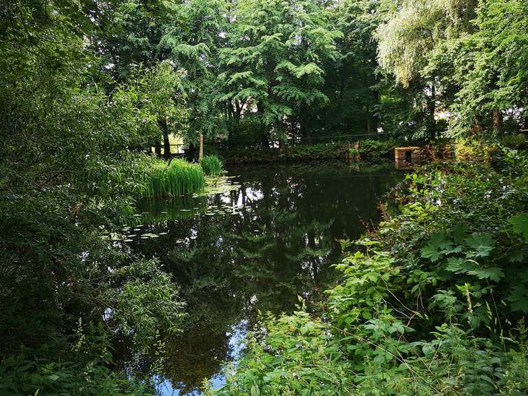 Zwönitz Austelpark Schöne Aussicht Laufrunde Komoot