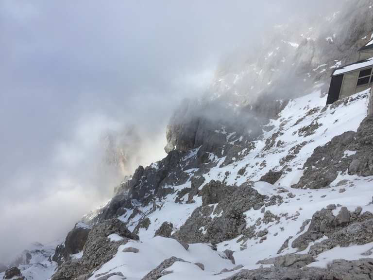 Mit Hund auf die Zugspitze Bergtour Komoot