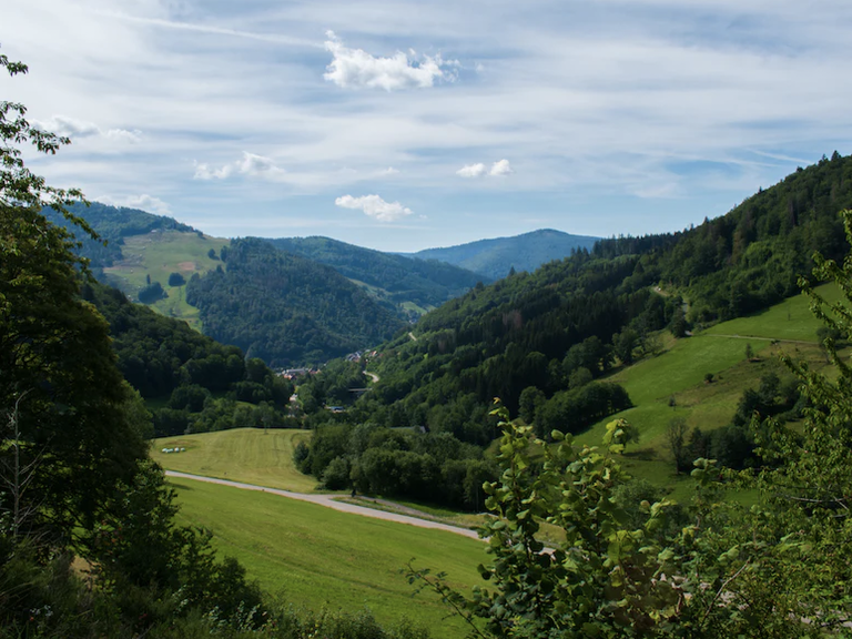 schwarzwald hotel mit pool und hund