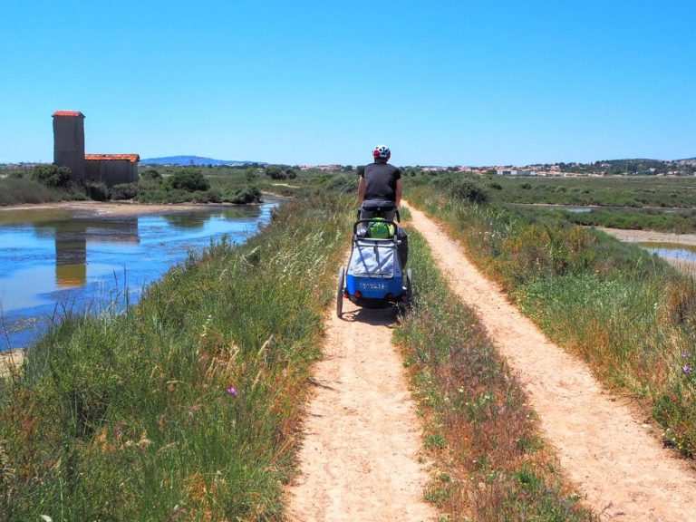 L tang de Thau par le bois des Aresquiers et les salins