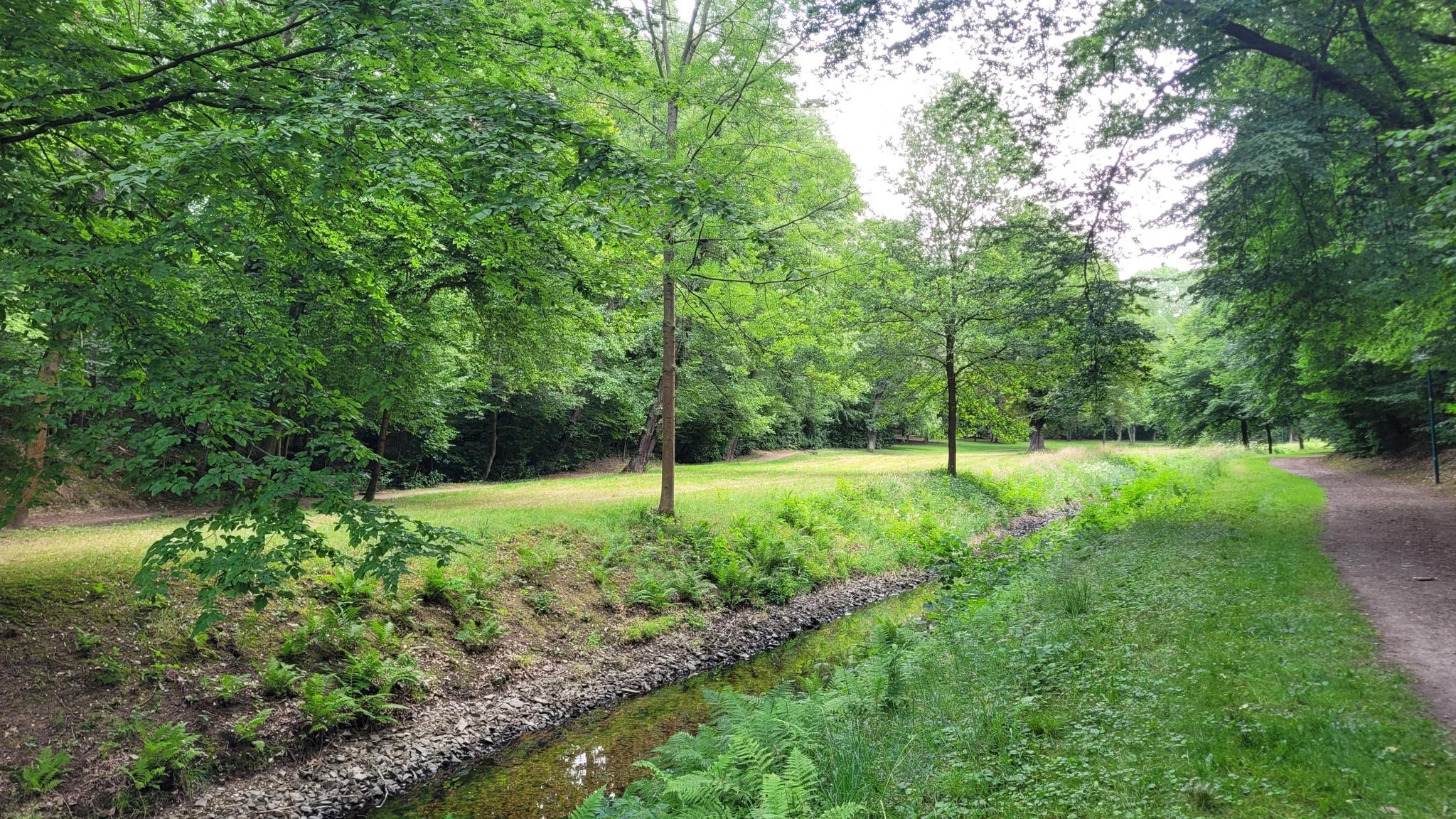 19068a5e0f5?width=640&height=360&crop=true&q=70 Tourismus Bad Lausick &ndash; Touren - Ringweg Steingrundbach (TK 3)