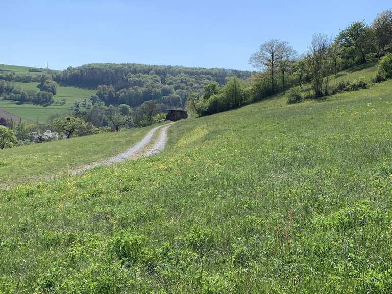Pfad der Stille Dörzbach | Wanderung | Komoot