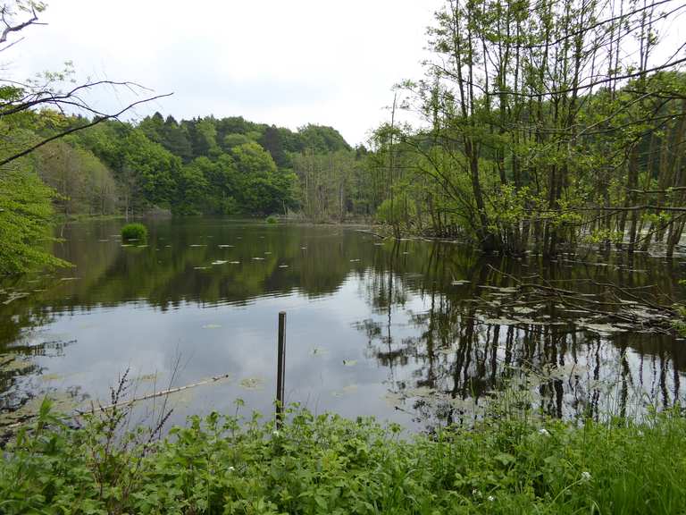 19 Rundweg "Großer Pönitzer See" Wanderung Komoot