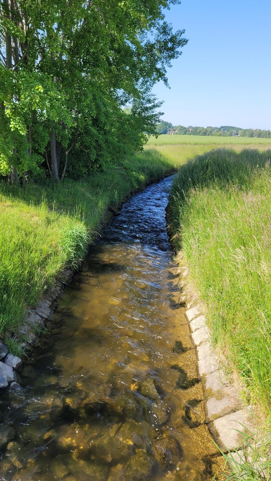 188673abcee?width=640&height=360&crop=true&q=70 Tourismus Bad Lausick &ndash; Touren - Etzoldhainer Mittelring (TK 7)