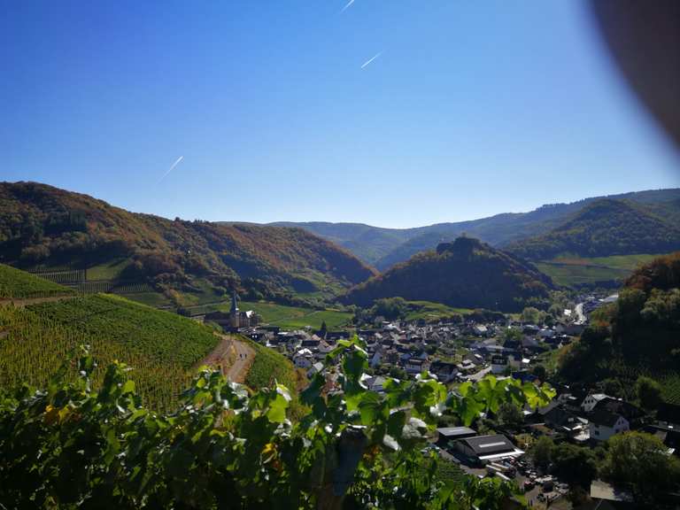 Rotweinwanderung von Mayschoß nach Dernau und zurück | Wanderung | Komoot