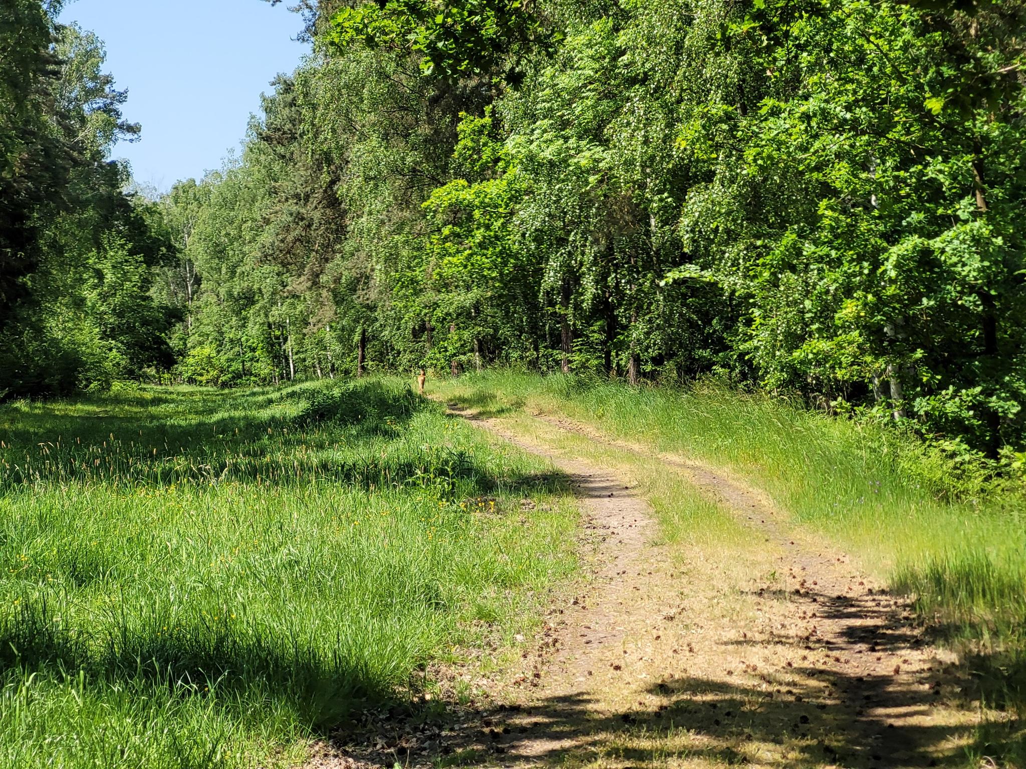 188674ad052?width=640&height=360&crop=true&q=70 Tourismus Bad Lausick &ndash; Touren - Radtour Bad Lausick &ndash; Kloster Nimbschen