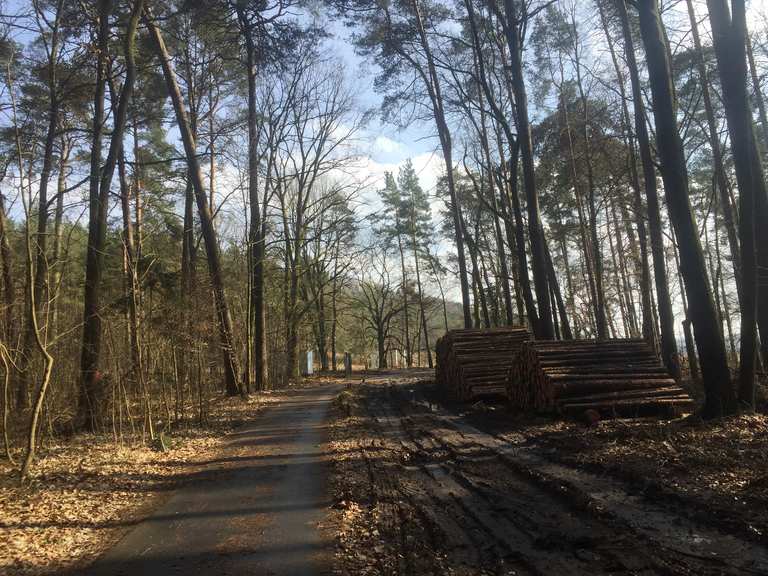 Brandenburg - Rundtour Von Eberswalde entlang des ...