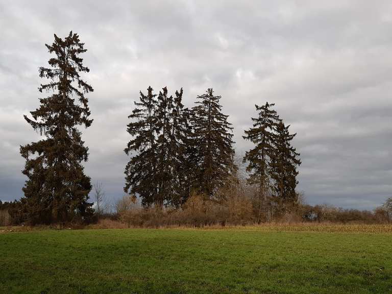 Berching/Fribertshofen - zum 3-Ländereck (3x3) | Wanderung | Komoot