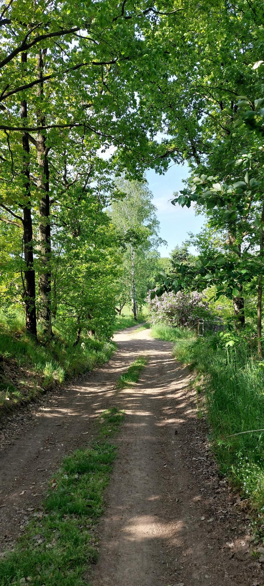1882df2559c?width=640&height=360&crop=true&q=70 Tourismus Bad Lausick &ndash; Touren - Radtour Bad Lausick &ndash; Kloster Nimbschen