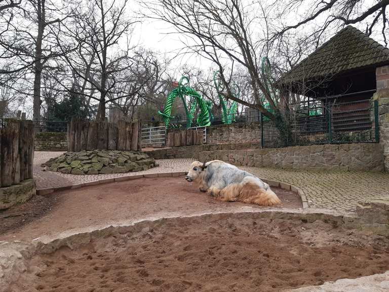 Zoo Halle | Wanderung | Komoot