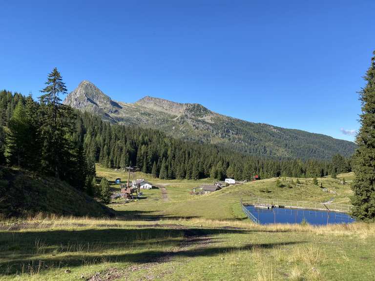 Passo Rolle - Cima Cavallazza - Lagi Colbricon | Wanderung | Komoot