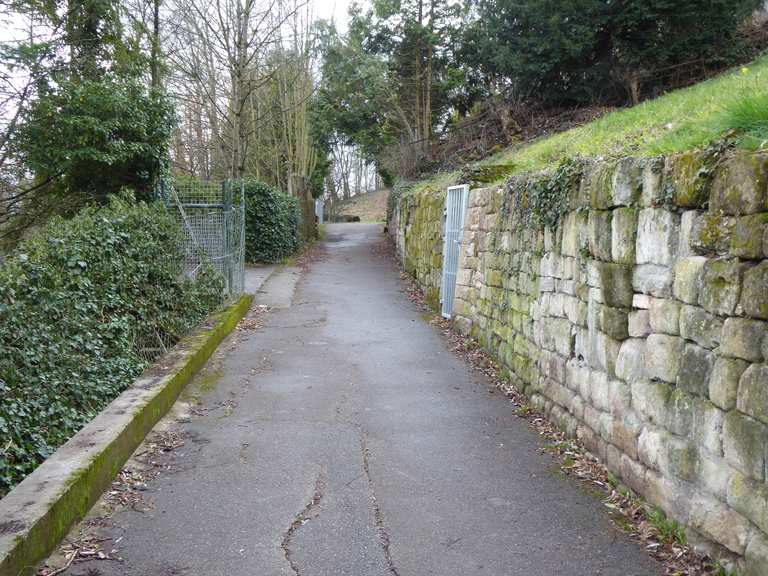 Stuttgart: Der Heslacher Blaustrümpflerweg | Wanderung | Komoot