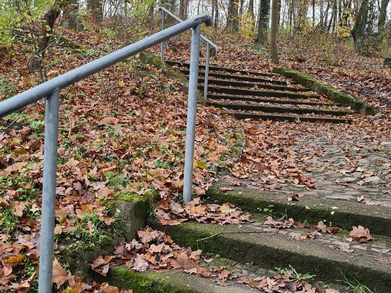 Tiefwerder Wiesen, Schanzenwald und Murellenschlucht (Von S Bahnhof ...