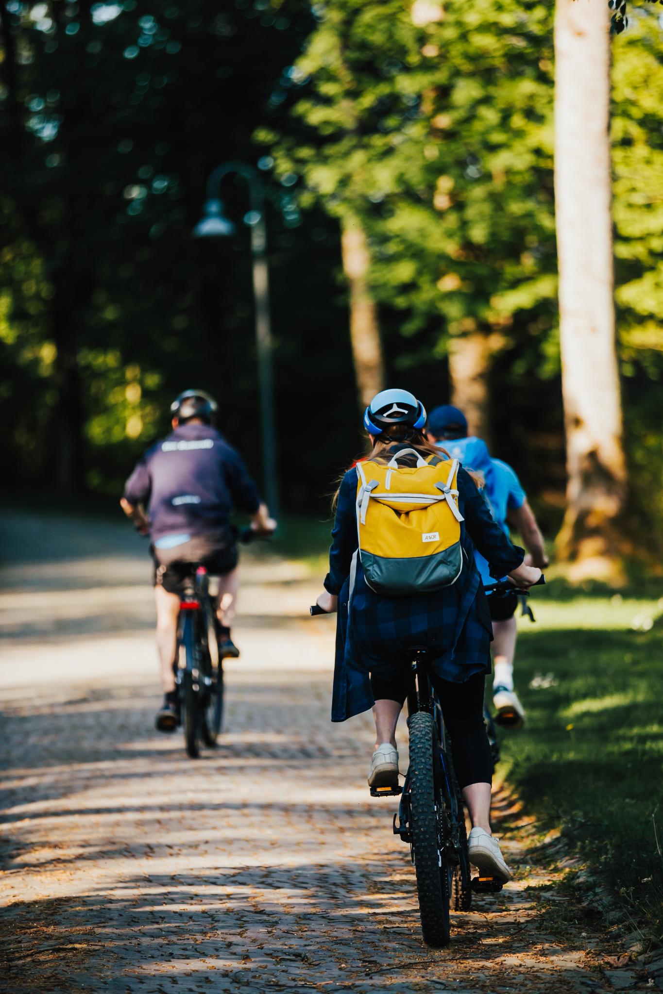 Verleih Preise Mtb Fahrrad Leihen In Winterberg Im Sauerland