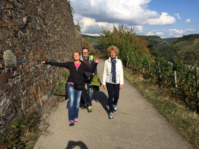 Rotweinwanderweg, Altenahr, Mayschoß, Dernau, Rech ...