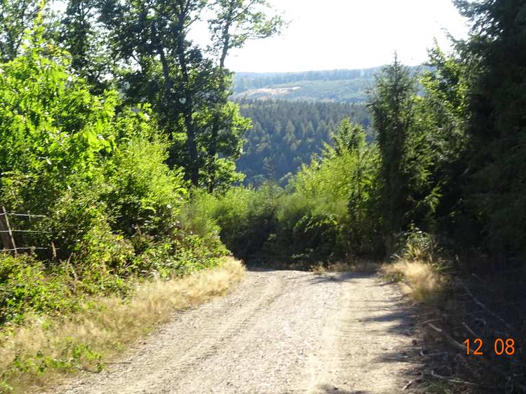 Meroder Wald Tour EMountainbikeTour Komoot