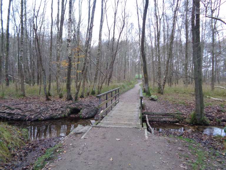Erlengrund, Bredenbeker Teich, NSG Heidkoppelmoor, Moorbek escursione