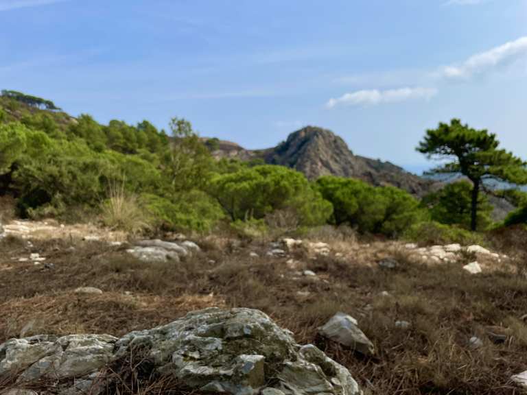 isola d'elba bike🍀💪🏻☀️trailige runde über den grat nach cavo and back ...