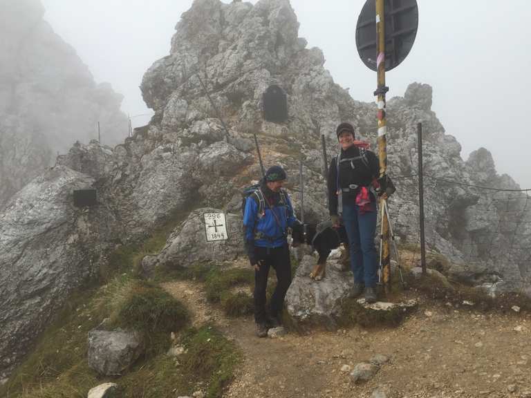 Mit Hund auf die Zugspitze Bergtour Komoot
