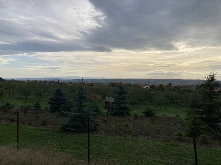 GravelTour zwischen Elm und Asse gravel ride Komoot