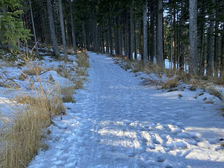 Mönichkirchen, lifts and snow not necessary Skitour Komoot