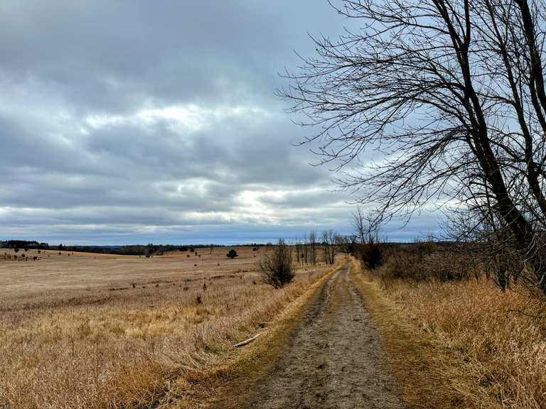 Birding Hike on Trout Brook Loop, Afton State Park 20240209 hike
