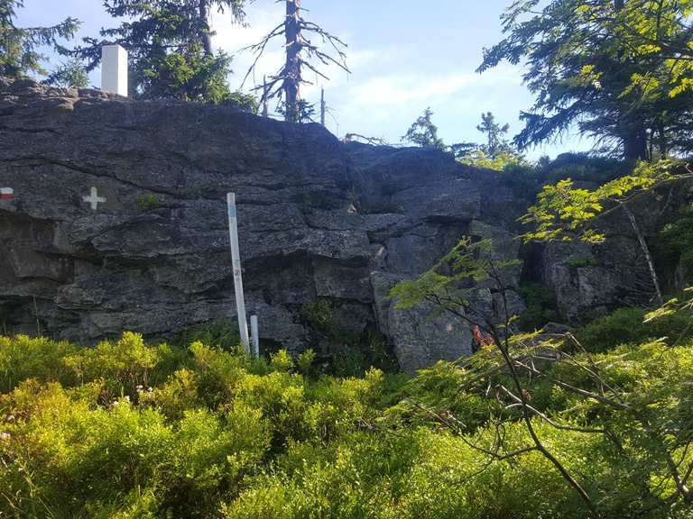 Wandern Kleiner Osser : Wanderung zum Großen Osser im Bayerischen Wald ...