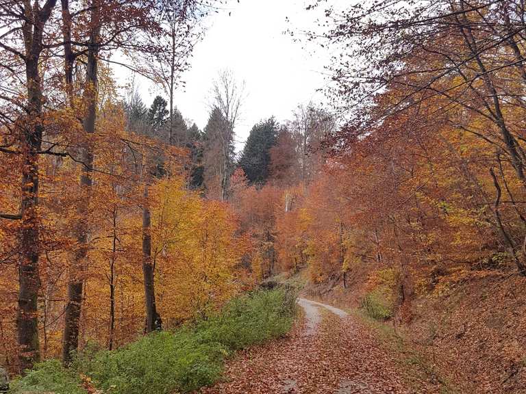 lahn-dill-bergland-runde-wanderung-komoot