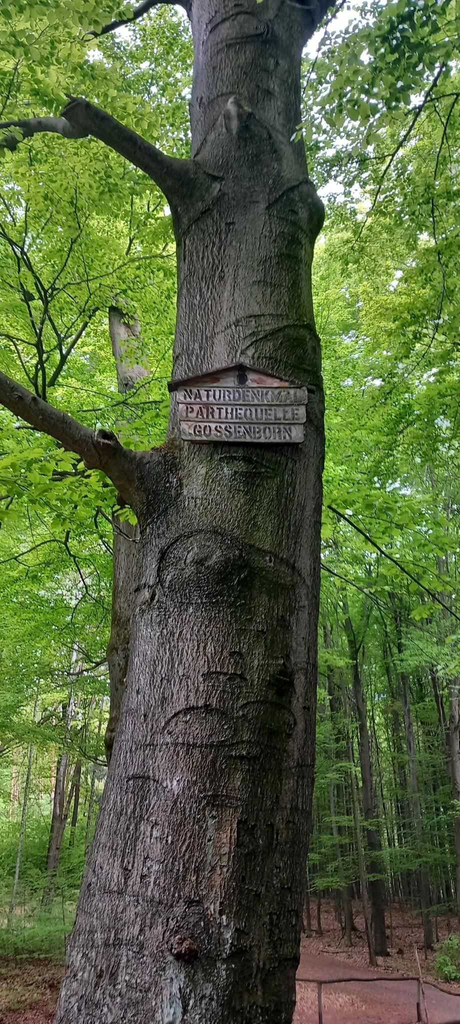 1881b7d3e6f?width=640&height=360&crop=true&q=70 Tourismus Bad Lausick &ndash; Touren - Wanderung Bad&nbsp;Lausik&nbsp;&ndash;&nbsp;Parthequelle